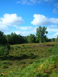 Sep 2013: 3B Aldernbridge Heath